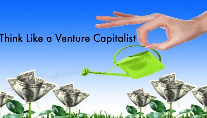 Think Like a Venture Capital Investor